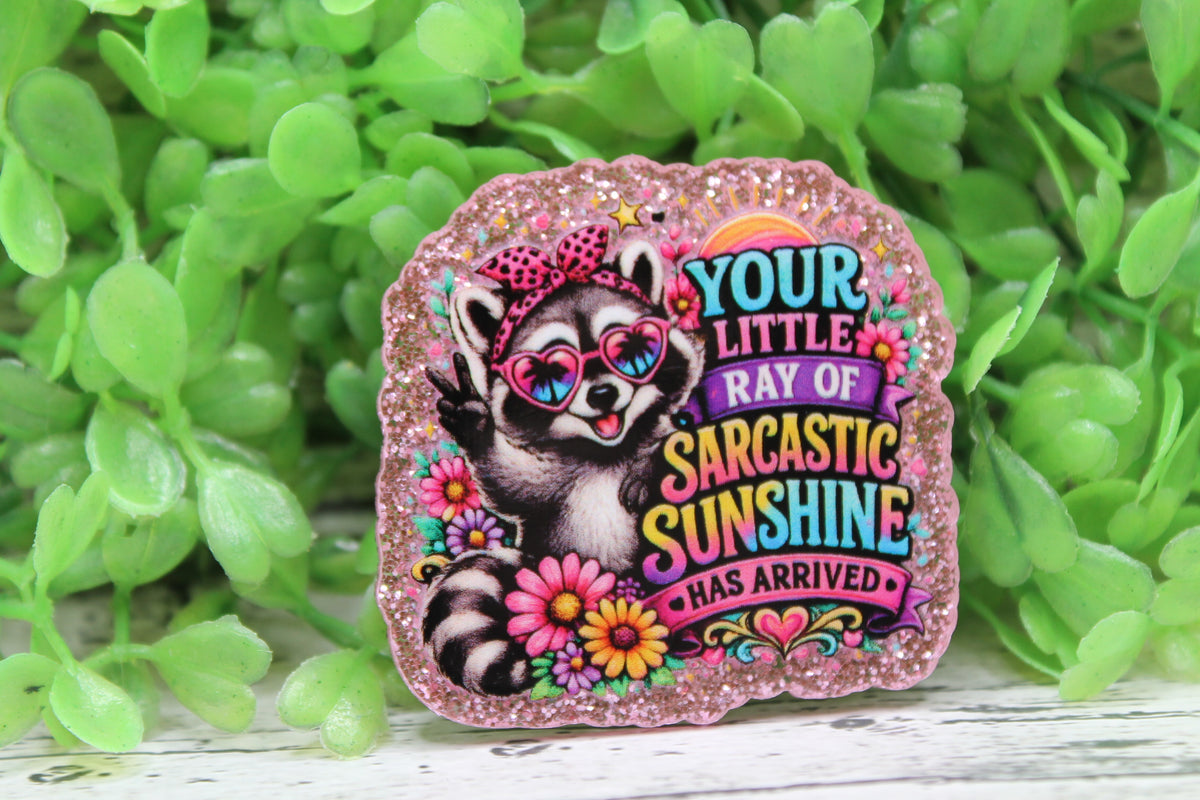 Ray of Sarcastic Sunshine Badge Reel