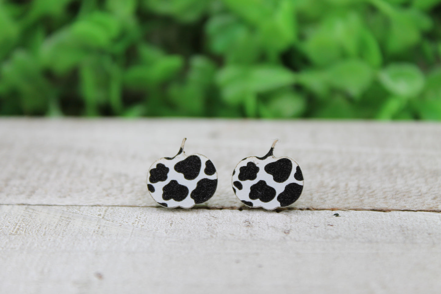 Cow Pumpkin • Stud Earrings