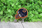 Football Chicago Bears Helmet • Badge/ID Holder with Clip