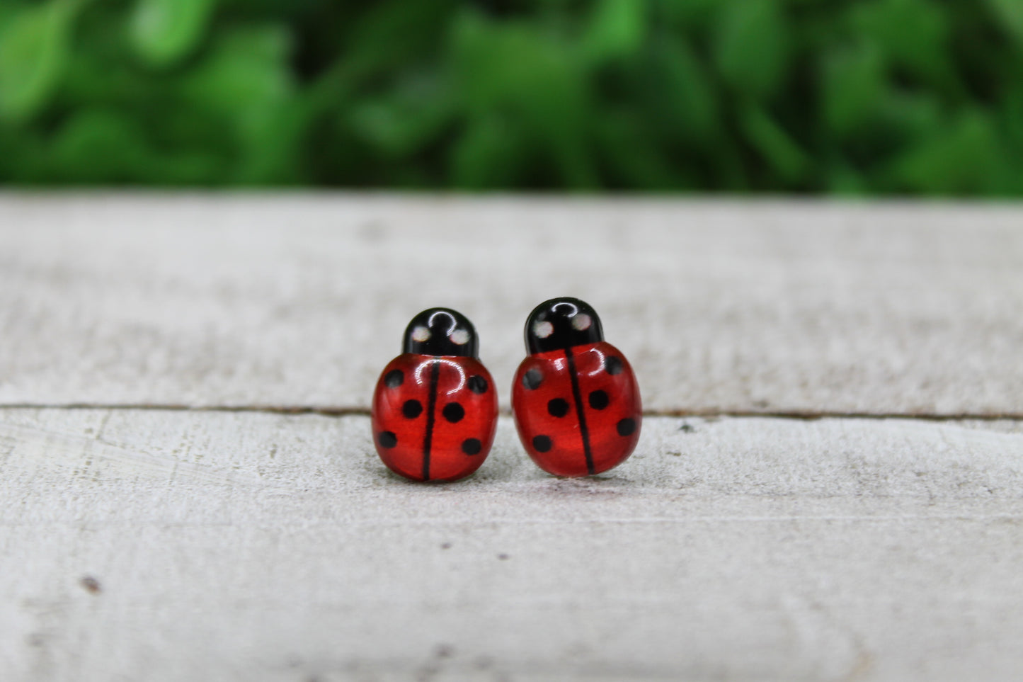 Red Lady Bugs • Stud Earrings